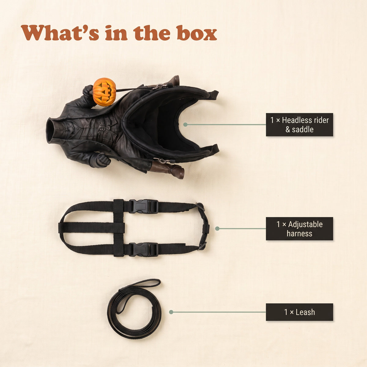 What's in the box: headless rider with saddle, adjustable harness and leash