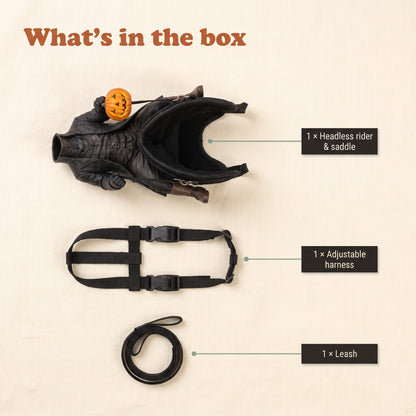 What's in the box: headless rider with saddle, adjustable harness and leash